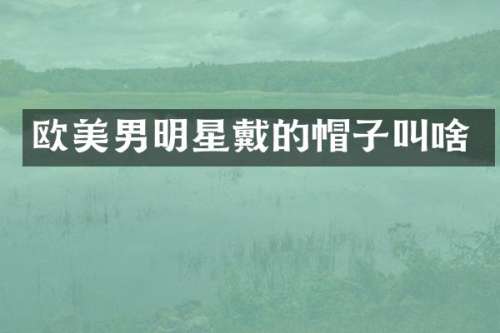 欧美男明星戴的帽子叫啥