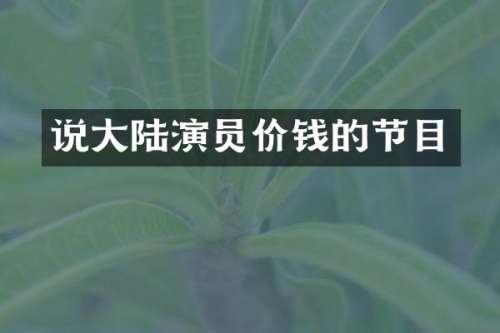 说大陆演员价钱的节目
