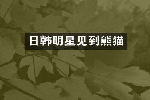 日韩明星见到熊猫