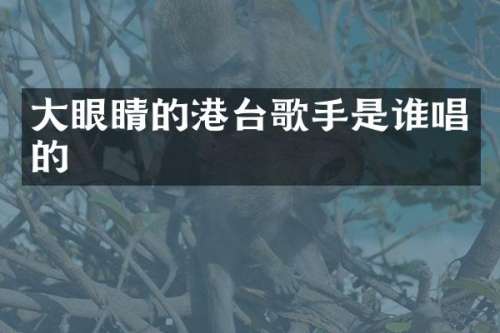 大眼睛的港台歌手是谁唱的