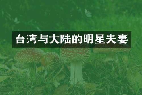 台湾与大陆的明星夫妻