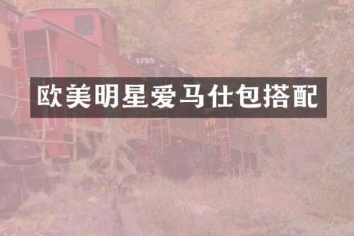 欧美明星爱马仕包搭配
