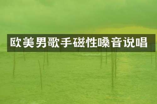 欧美男歌手磁性嗓音说唱