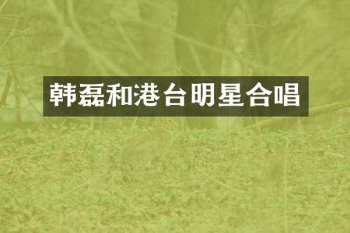 韩磊和港台明星合唱