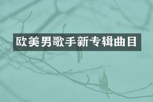 欧美男歌手新专辑曲目