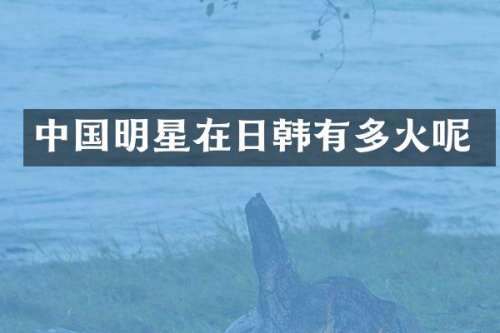中国明星在日韩有多火呢