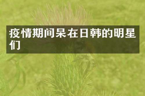 疫情期间呆在日韩的明星们