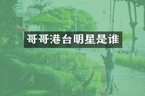 哥哥港台明星是谁