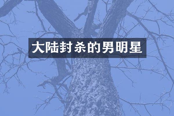 大陆封杀的男明星
