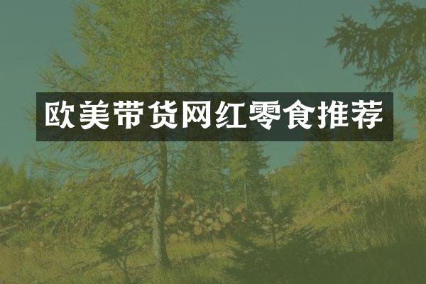 欧美带货网红零食推荐