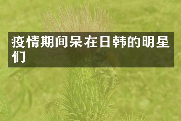 疫情期间呆在日韩的明星们