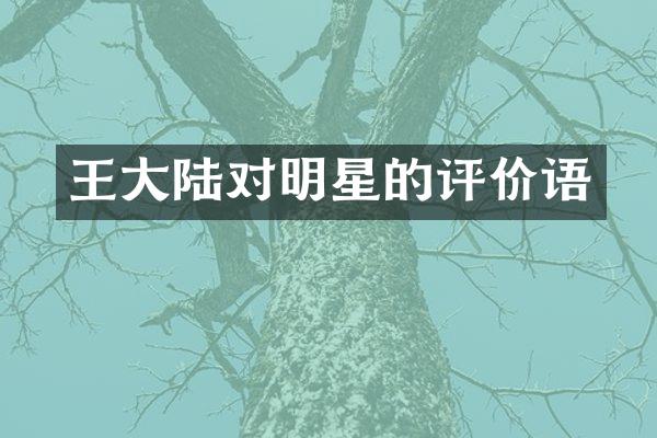 王大陆对明星的评价语