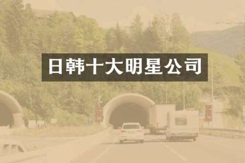 日韩十大明星公司
