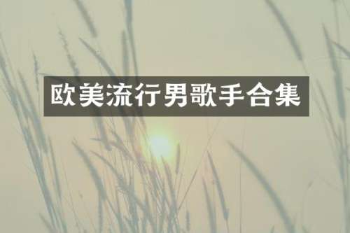 欧美流行男歌手