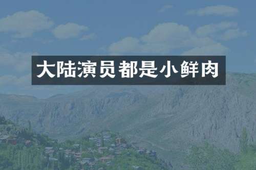 大陆演员都是小鲜肉