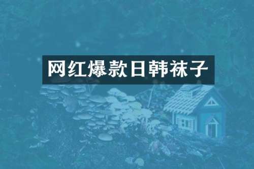 网红爆款日韩袜子