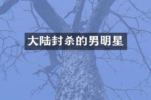 大陆封杀的男明星