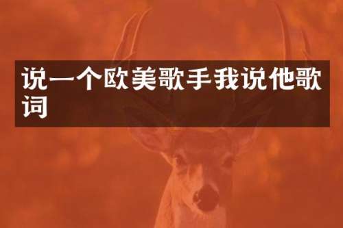 说一个欧美歌手我说他歌词