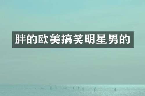 胖的欧美搞笑明星男的