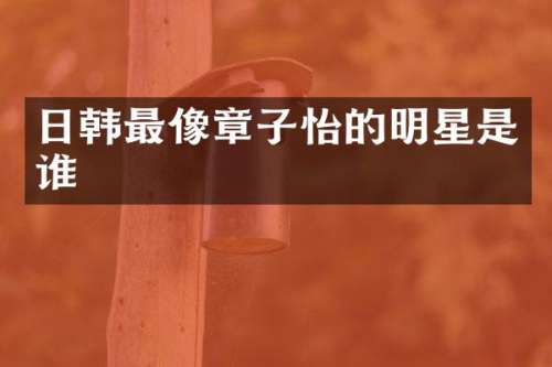日韩最像章子怡的明星是谁