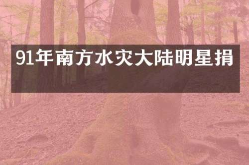 91年南方水灾大陆明星捐款