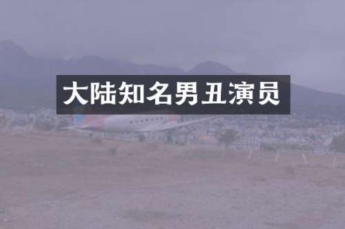 大陆知名男丑演员