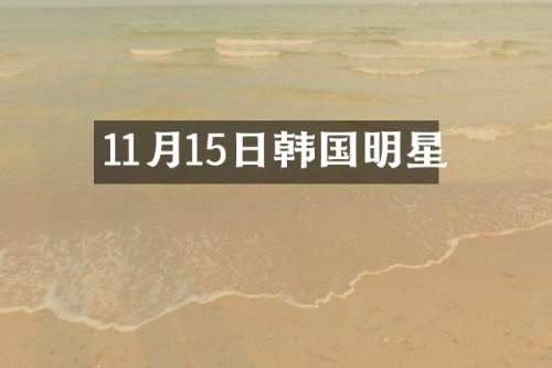11月15日韩国明星