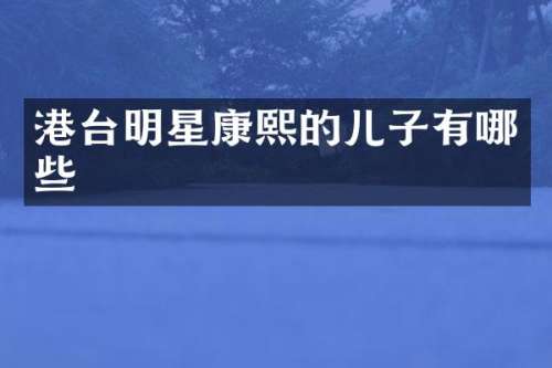 港台明星康熙的儿子有哪些