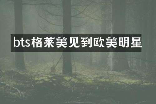 bts格莱美见到欧美明星