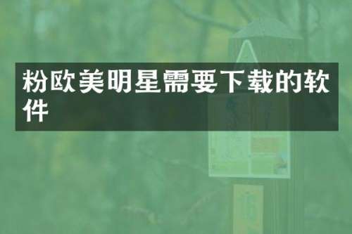 粉欧美明星需要下载的软件