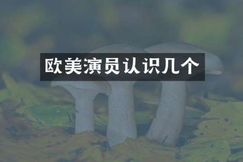欧美演员认识几个