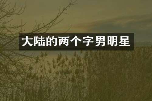 大陆的两个字男明星