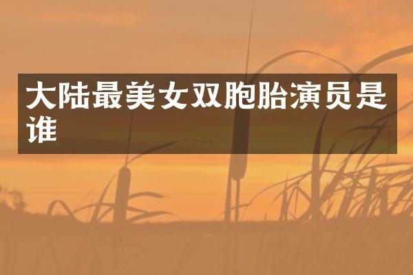 大陆最双胞胎演员是谁