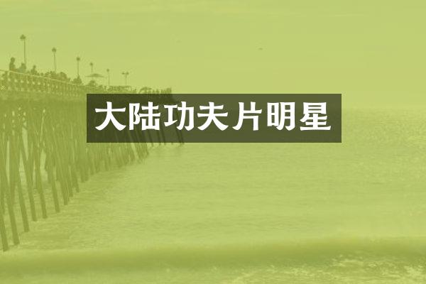 大陆功夫片明星