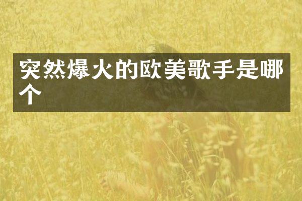 突然爆火的欧美歌手是哪个