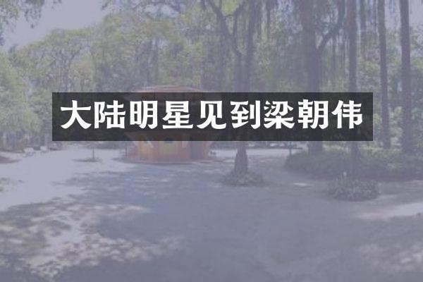 大陆明星见到梁朝伟
