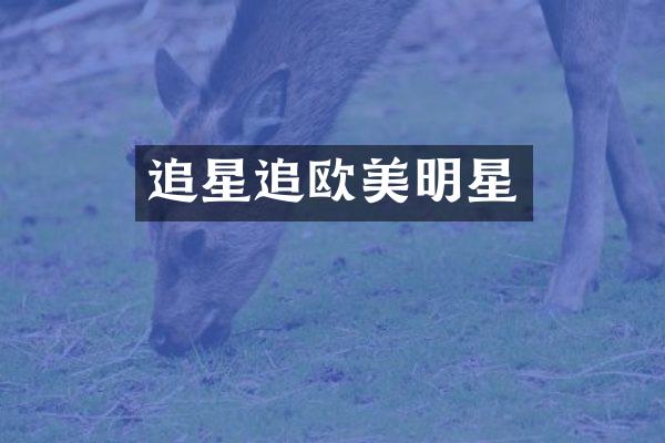 追星追欧美明星