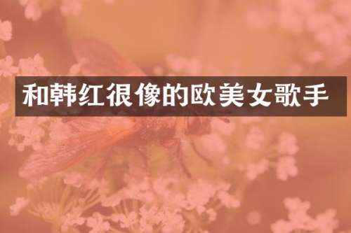 和韩红很像的欧歌手