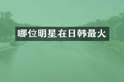 哪位明星在日韩最火