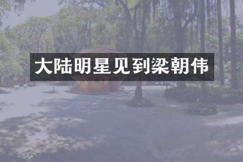 大陆明星见到梁朝伟