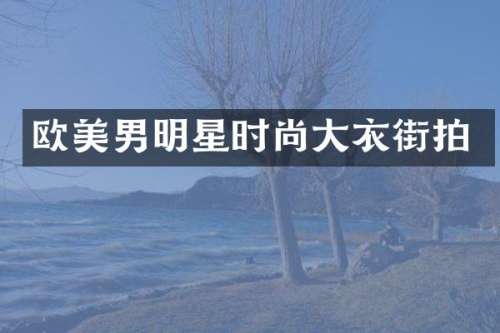 欧美男明星时尚大衣街拍