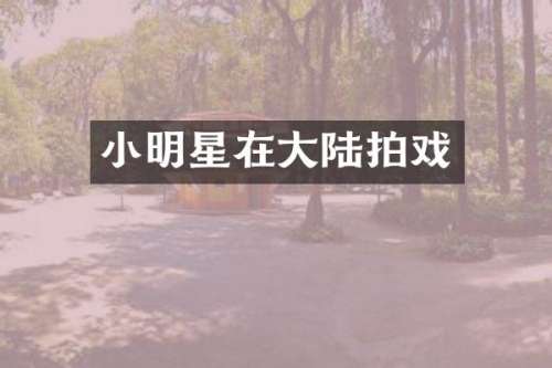 小明星在大陆拍戏