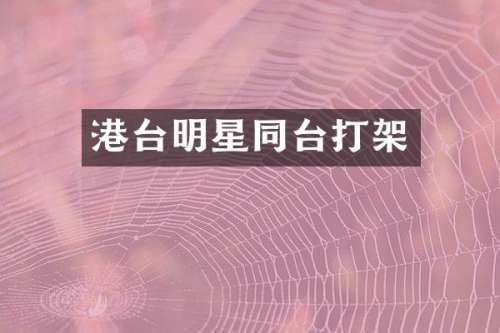 港台明星同台打架