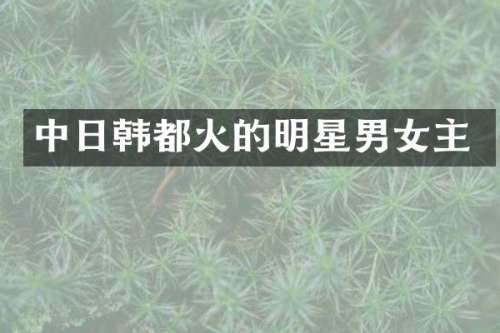 中日韩都火的明星男女主