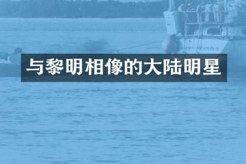 与黎明相像的大陆明星