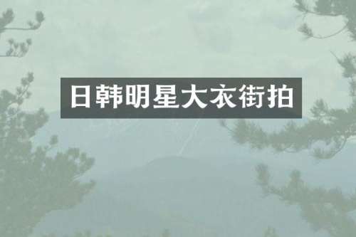 日韩明星大衣街拍