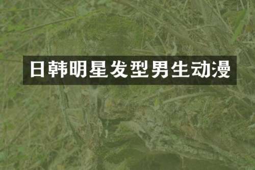 日韩明星发型男生动漫