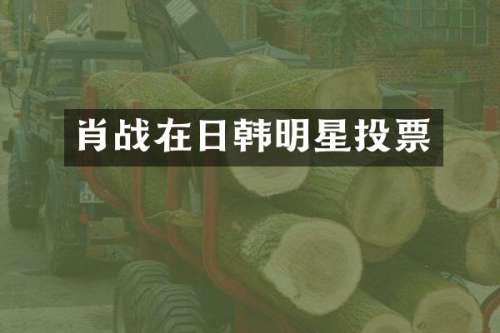 肖战在日韩明星投票