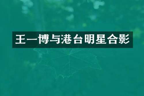 王一博与港台明星合影