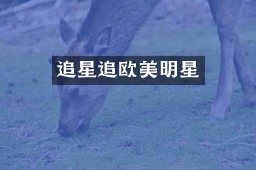 追星追欧美明星